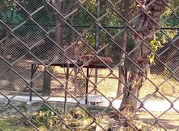 pakistan/rawalpindi/ayub-national-park/shop/gate-4-ayub-national-park-national-park-road-rawalpindi