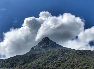 sri-lanka/adam-s-peak/shop/sri-padaya