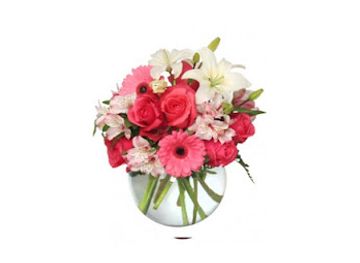 kentucky/red-river-gorge-geological-area/shop/the-flower-pot