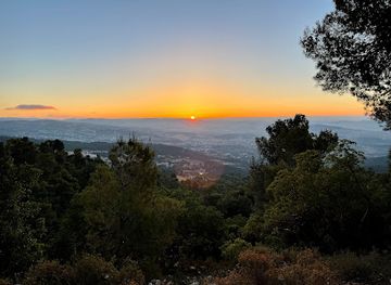 jordan/dibeen-forest/shop/dibbeen-forest-reserve