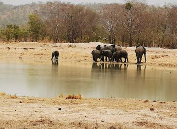 benin/pendjari-national-park/shop/pendjari-national-park