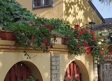 serbia/palic-lake/shop/univerexport-splitska-aleja-6-palic