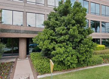 florida/tampa/shop/traveler-trader-llc