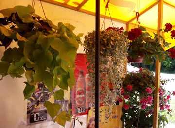 serbia/palic-lake/shop/lc-fischer