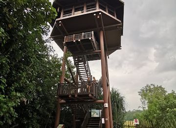 singapore/sungei-buloh-wetland-reserve/shop/aerie-tower