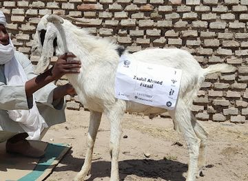 maldives/gaafu-alif-atoll/shop/bakarimv