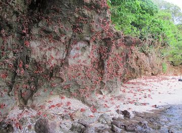 christmas-island/the-grotto/shop/ethel-beach