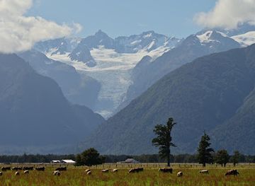 new-zealand/fox-glacier/shop/te-kopikopiko-o-te-waka-peak-view