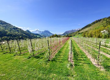 austria/eisenwurzen/shop/genussmosthof-veitlbauer