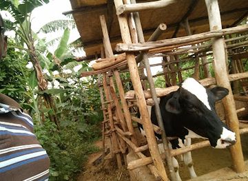 rwanda/muhazi-lake/shop/hi-agribusiness