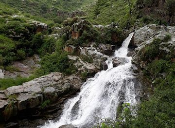 bolivia/tarija-valley/shop/coimata
