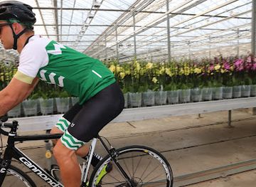 netherlands/delfland/shop/wielerwinkel-westland