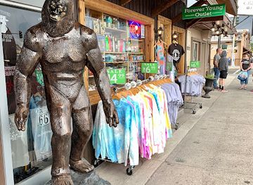 montana/yellowstone-national-park/shop/forever-young