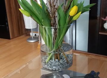 germany/erfurt/shop/nanu-nana