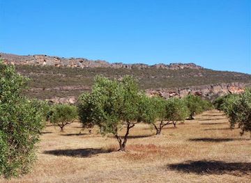 australia/the-grampians/shop/grampians-olive-co