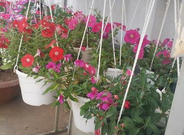 vietnam/vung-tau/shop/shop-nau-my-pham-nuoc-hoa-tui-xach-vung-tau