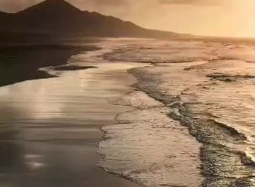 somalia/woqooyi-galbeed/shop/duco-waalid-store-booshari