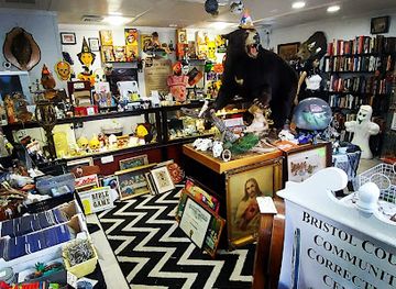 rhode-island/washington-county/shop/candy-s-curiosities-vintage-oddities-shop