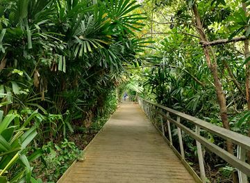 singapore/labrador-nature-reserve/shop/berlayer-creek-boardwalk