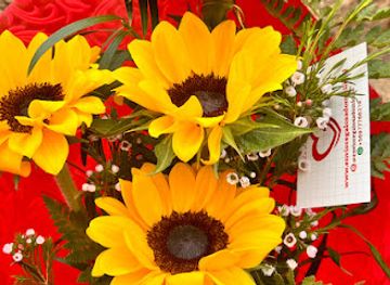 chile/valparaiso-region/shop/envio-regalos-a-domicilio