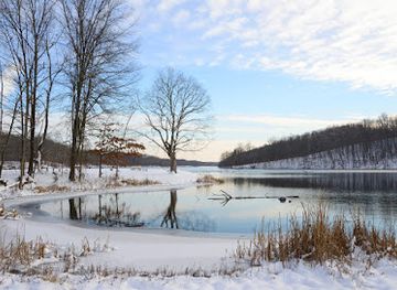 indiana/yellowwood-state-forest/shop/yellowwood-state-forest