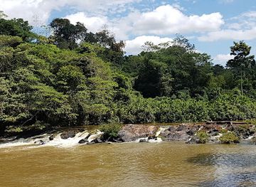 brazil/amazon-rainforest/shop/parque-nacional-da-amazonia
