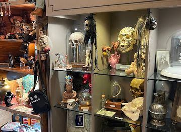 massachusetts/worcester-county/shop/scarce-oddities