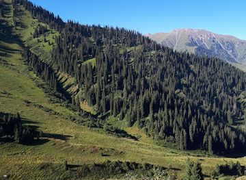 kazakhstan/almaty-mountains/shop/bowler-coffee-roasters-tsum