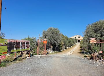 cyprus/pano-lefkara-village/shop/terra-oliva-organic-olive-farm