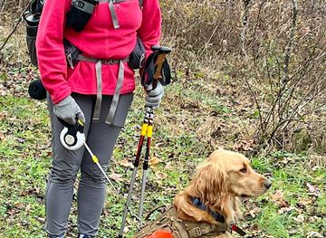 kentucky/sheltowee-trace-national-recreation-trail/shop/sheltowee-trace-trail-north-terminus-section-1