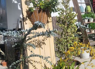 vietnam/da-lat/shop/man