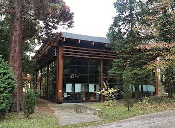 hungary/sopron-region/shop/ligneum