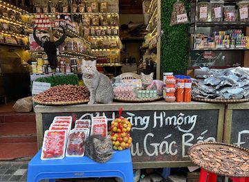 vietnam/sapa/shop/hat-de-hoang-trang