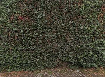 chile/maipo-valley/shop/chilean-bulk-wines