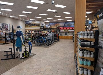 Scheels