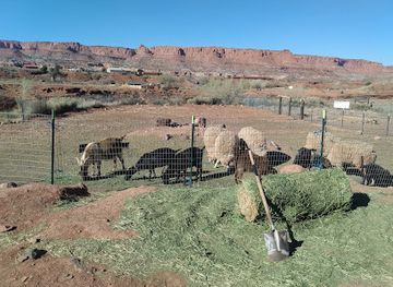 utah/torrey/shop/petrous