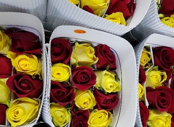 ecuador/cotopaxi-national-park/shop/floranation