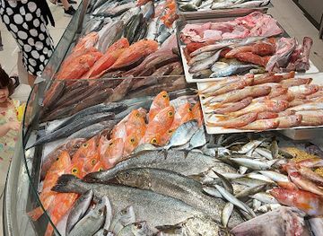 malta/xewkija/shop/island-fisheries-limited