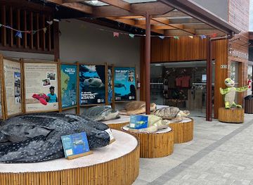 brazil/litoral-norte/shop/ubatuba-mall