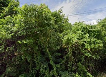 thailand/trat/shop/suk-ta