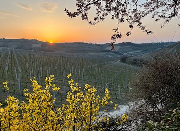 italy/roero/shop/cascina-barac