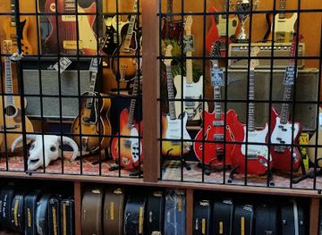 denmark/south-jutland/shop/woodstock-guitars