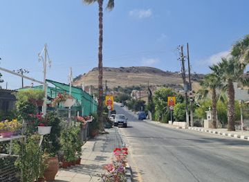 cyprus/pissouri-village/shop/thekla-flower-house