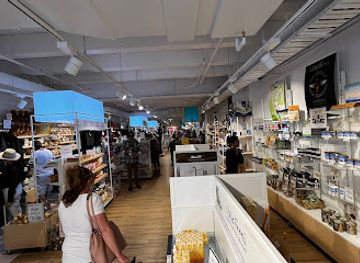 new-zealand/christchurch/shop/d-f-souvenirs