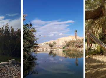 israel/arava/shop/arava-spiritual-center