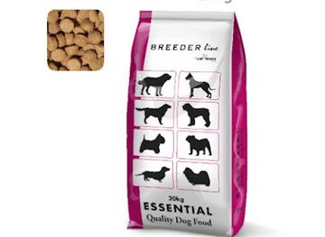 cameroon/limbe/shop/limbe-pets-store