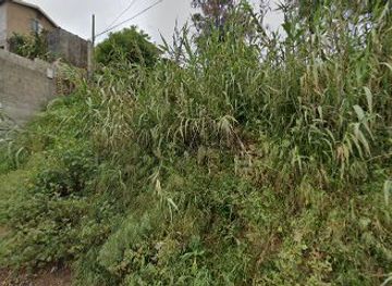 mexico/tijuana/shop/tienda-de-regalos-expresiones