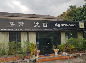 laos/thakhek/shop/lao-king-tree