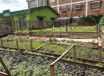 madagascar/amoron-i-mania/shop/dredd-amoron-i-mania