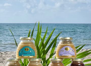 florida/miami-beach/shop/sunny-honey-miami